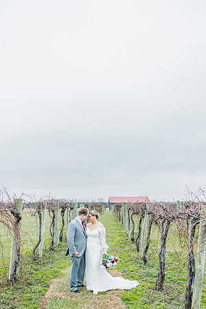 Lexington Ky Wedding Photographers