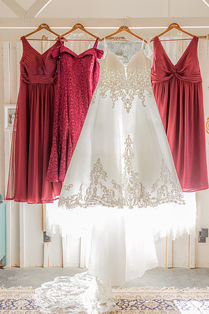 Lexington Ky Wedding Photographers
